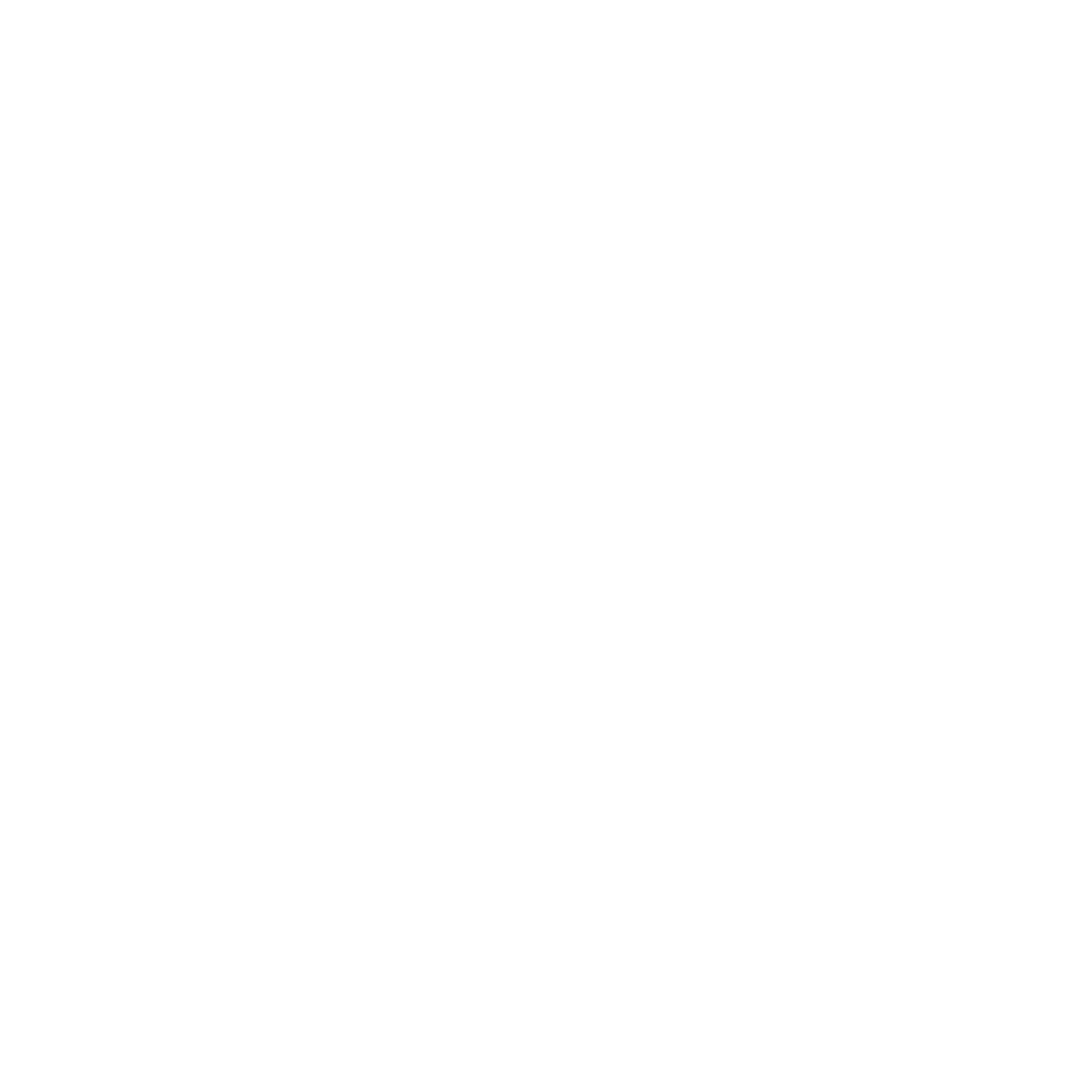 brain.png